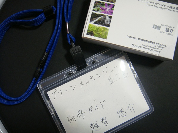 http://greenmessenger-yakushima.com/blog/DSC03352.JPG