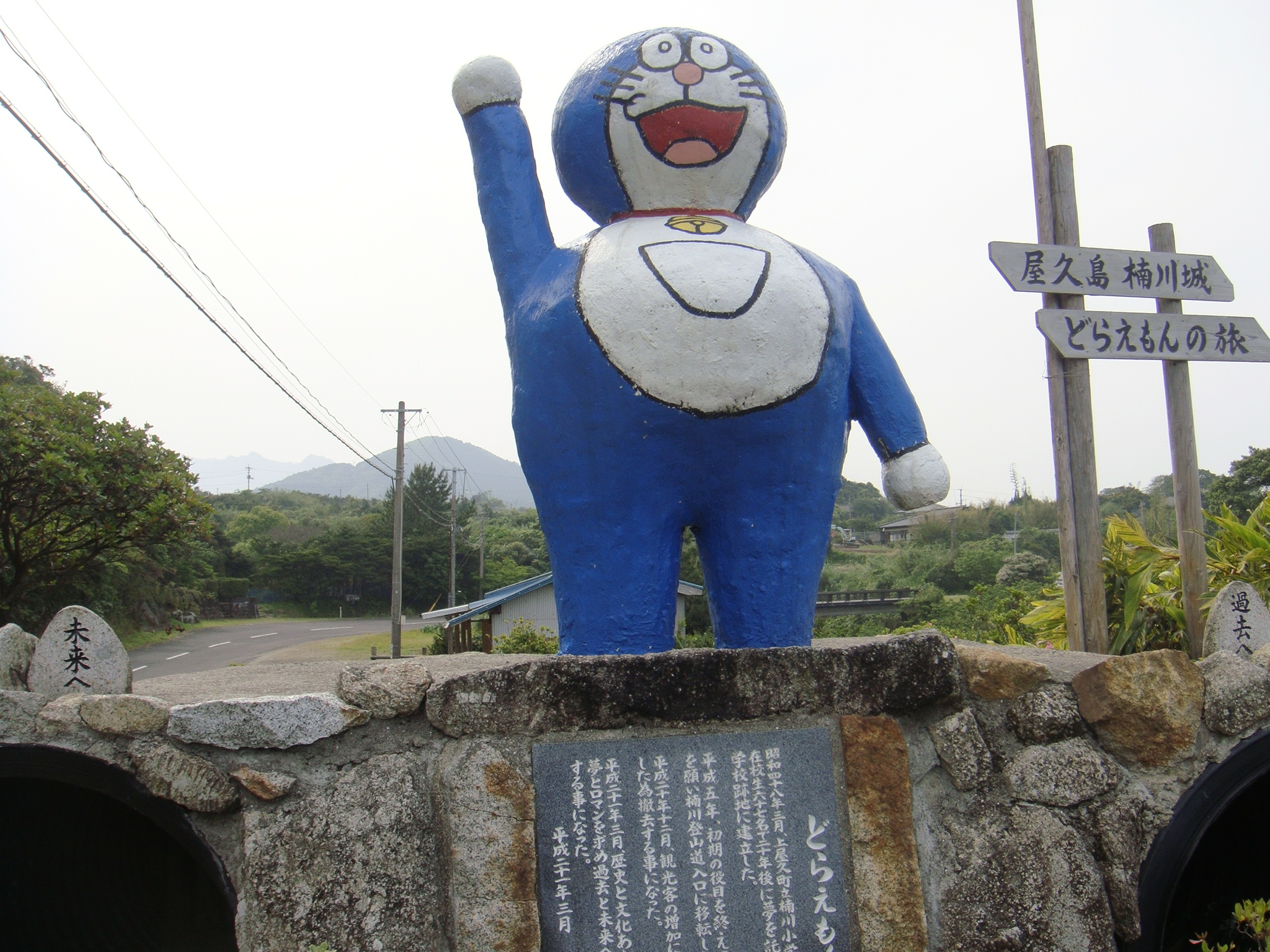 http://greenmessenger-yakushima.com/blog/DSC03371.JPG