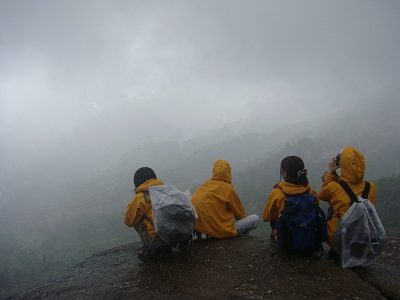 http://greenmessenger-yakushima.com/blog/DSC03855.JPG