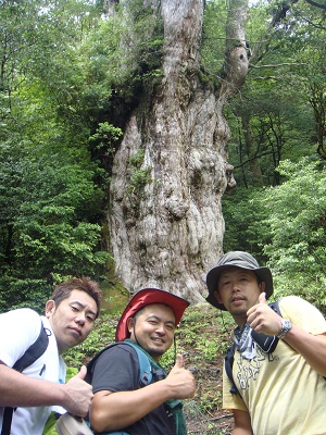 http://greenmessenger-yakushima.com/blog/DSC03897.JPG