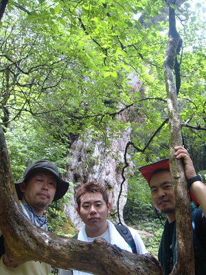 http://greenmessenger-yakushima.com/blog/DSC03898.JPG