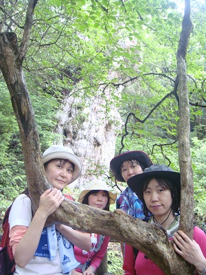 http://greenmessenger-yakushima.com/blog/DSC03899.JPG