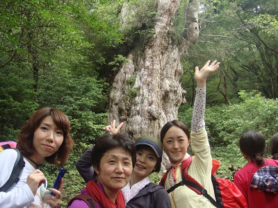 http://greenmessenger-yakushima.com/blog/DSC03904.JPG