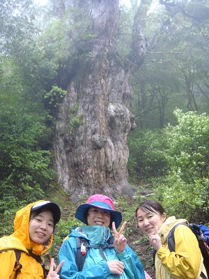 http://greenmessenger-yakushima.com/blog/DSC03956.JPG