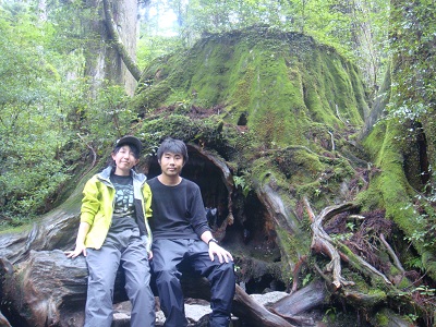 http://greenmessenger-yakushima.com/blog/DSC03960.JPG