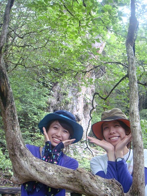 http://greenmessenger-yakushima.com/blog/DSC03968.JPG
