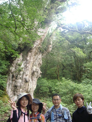 http://greenmessenger-yakushima.com/blog/DSC03983.JPG