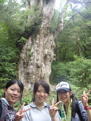 http://greenmessenger-yakushima.com/blog/DSC03993.JPG
