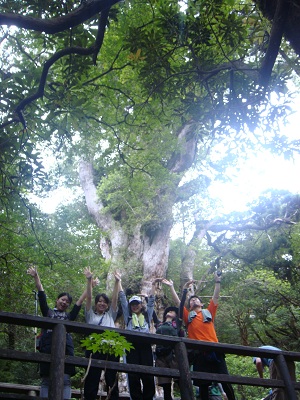 http://greenmessenger-yakushima.com/blog/DSC03994.JPG