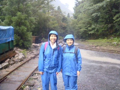 http://greenmessenger-yakushima.com/blog/DSC04004.JPG