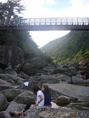 http://greenmessenger-yakushima.com/blog/DSC04015.JPG