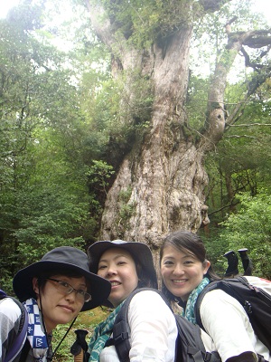 http://greenmessenger-yakushima.com/blog/DSC04018.JPG