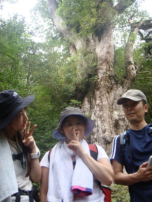 http://greenmessenger-yakushima.com/blog/DSC04021.JPG