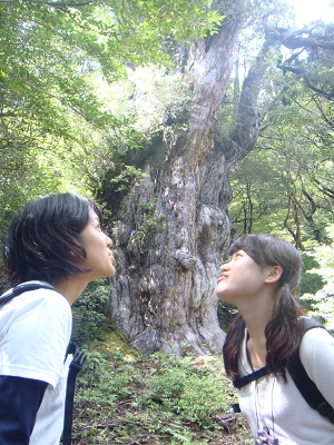 http://greenmessenger-yakushima.com/blog/DSC04033.JPG