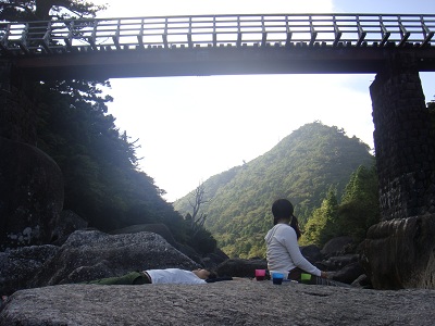 http://greenmessenger-yakushima.com/blog/DSC04035.JPG