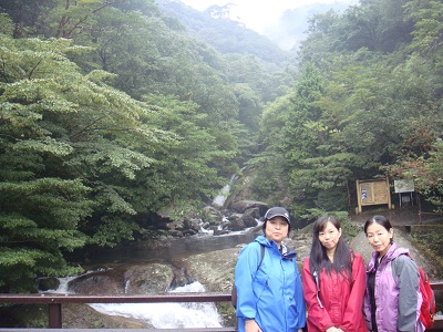 http://greenmessenger-yakushima.com/blog/DSC04044.JPG