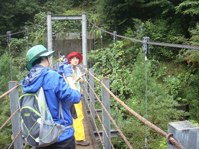 http://greenmessenger-yakushima.com/blog/DSC04052.JPG