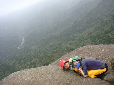 http://greenmessenger-yakushima.com/blog/DSC04055.JPG