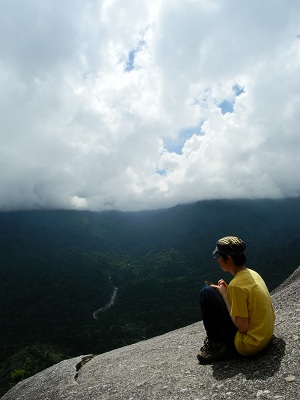 http://greenmessenger-yakushima.com/blog/DSCN2937.JPG