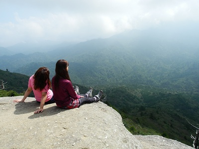 http://greenmessenger-yakushima.com/blog/DSCN3046.JPG