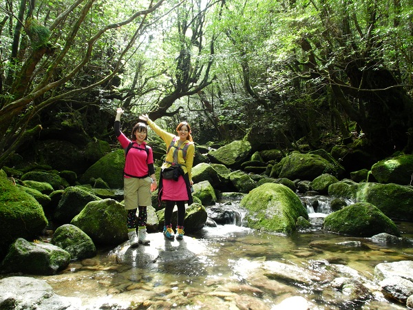 http://greenmessenger-yakushima.com/blog/DSCN3185.JPG