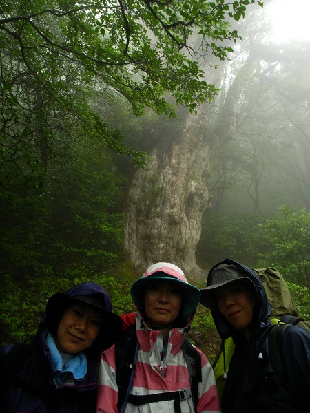 http://greenmessenger-yakushima.com/blog/DSCN3223.JPG