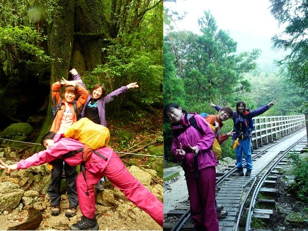 http://greenmessenger-yakushima.com/blog/DSCN3242.JPG