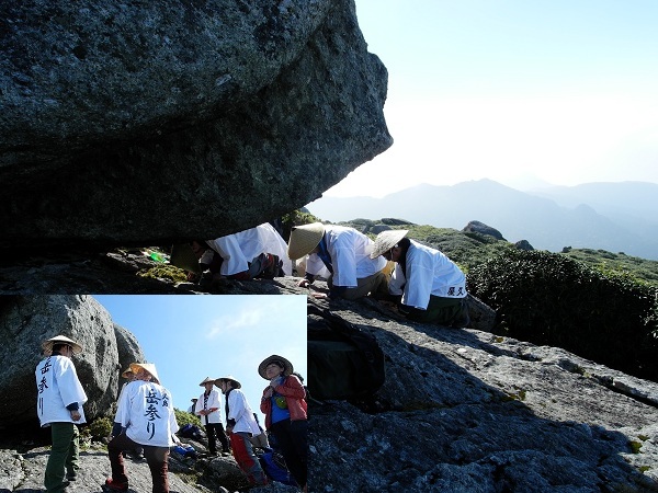 http://greenmessenger-yakushima.com/blog/DSCN3549.JPG