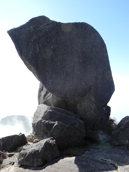 http://greenmessenger-yakushima.com/blog/DSCN3832.JPG