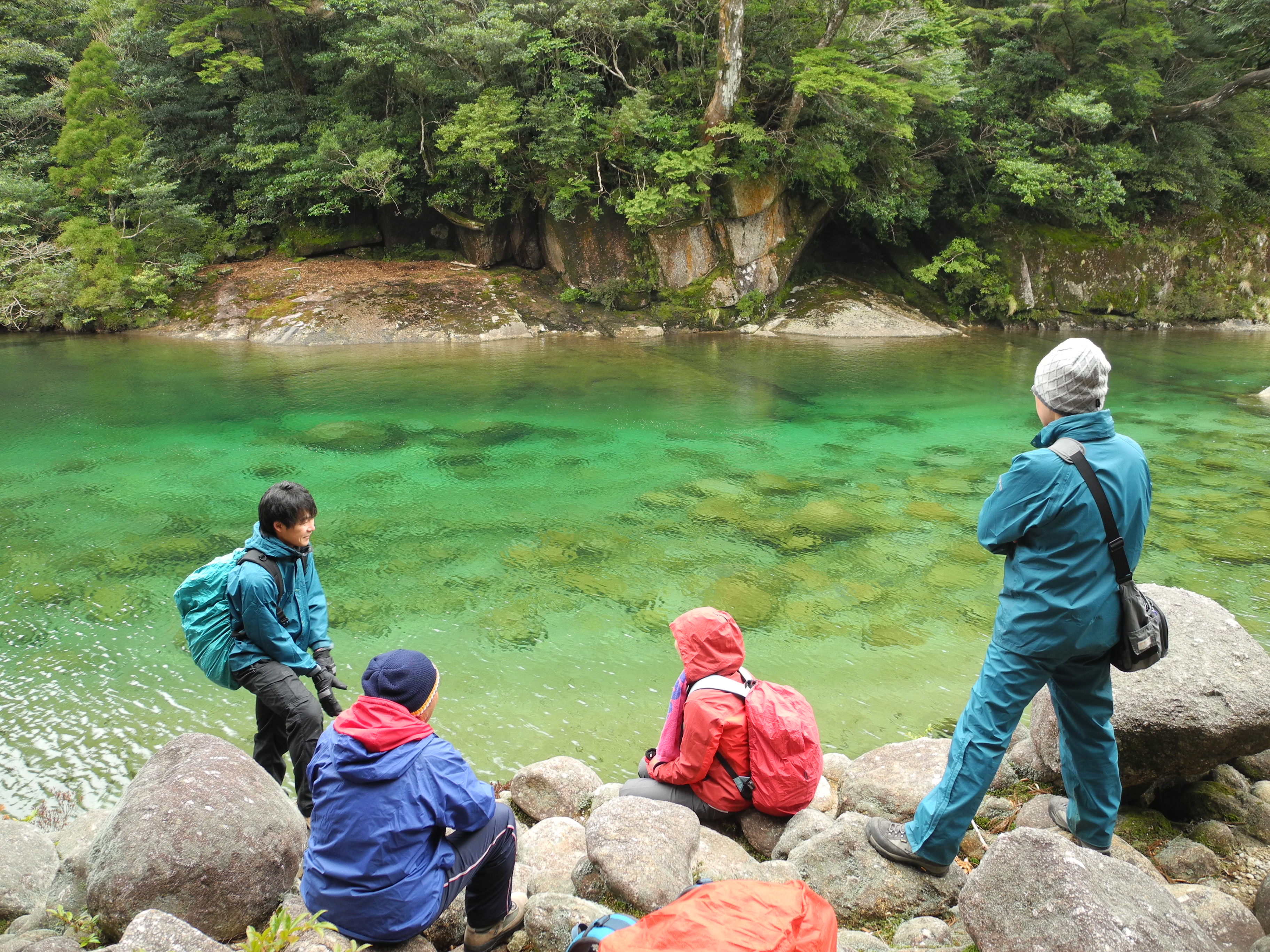 http://greenmessenger-yakushima.com/blog/DSCN4021.JPG