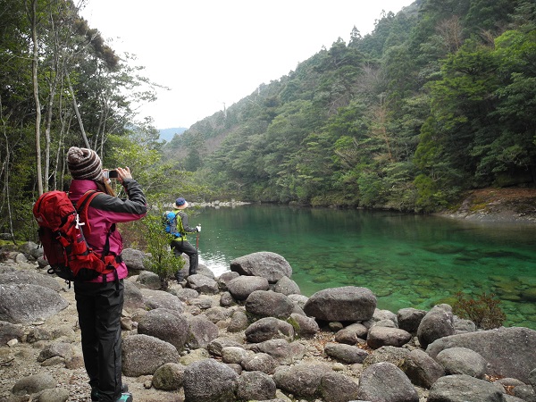 http://greenmessenger-yakushima.com/blog/DSCN4023.JPG