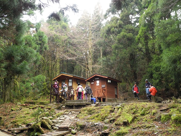 http://greenmessenger-yakushima.com/blog/DSCN4024.JPG