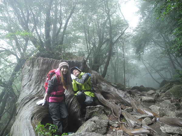 http://greenmessenger-yakushima.com/blog/DSCN4036.JPG