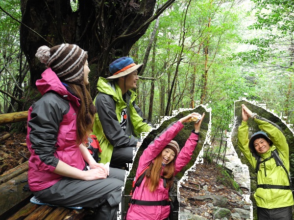 http://greenmessenger-yakushima.com/blog/DSCN4038.JPG