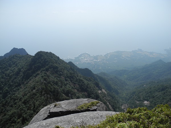 http://greenmessenger-yakushima.com/blog/DSCN4098.JPG