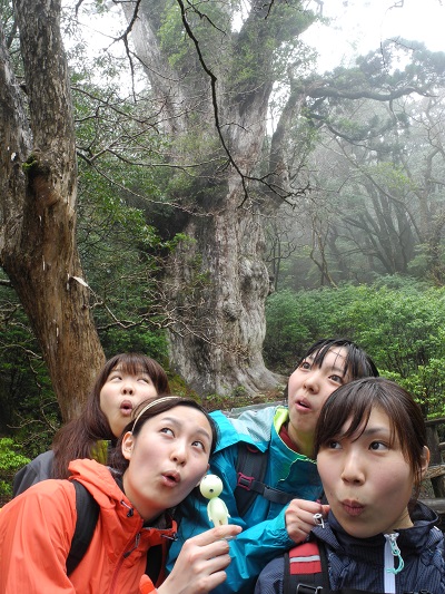 http://greenmessenger-yakushima.com/blog/DSCN4206.JPG