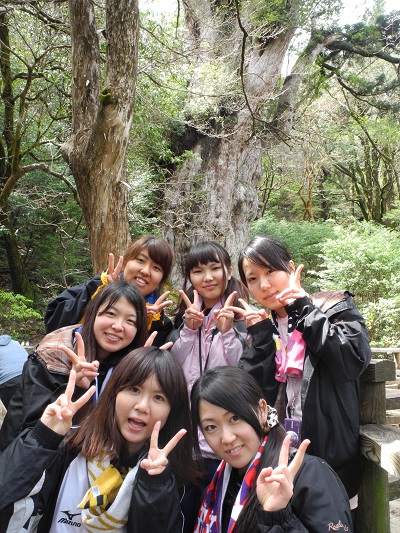 http://greenmessenger-yakushima.com/blog/DSCN4234.JPG