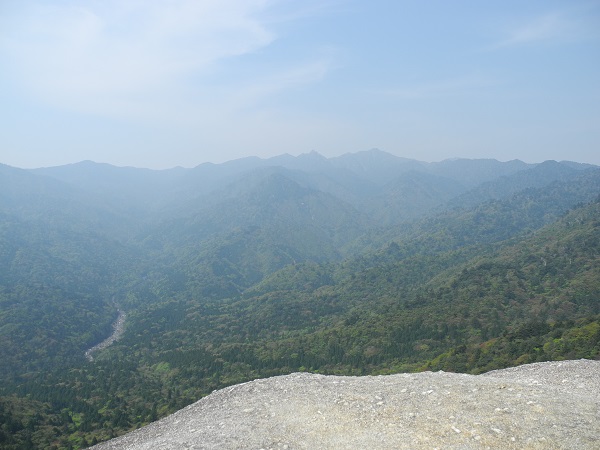 http://greenmessenger-yakushima.com/blog/DSCN4259.JPG