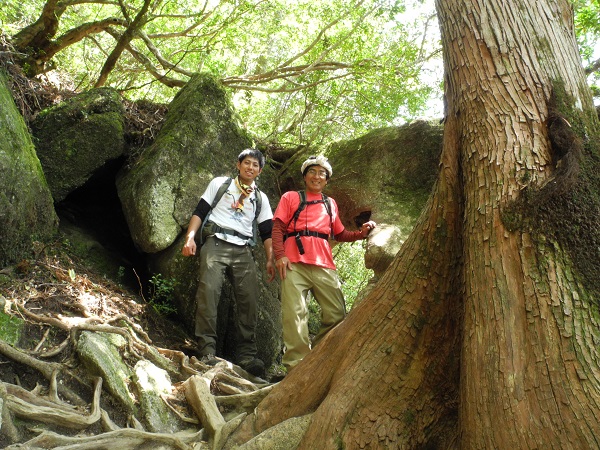 http://greenmessenger-yakushima.com/blog/DSCN4275.JPG