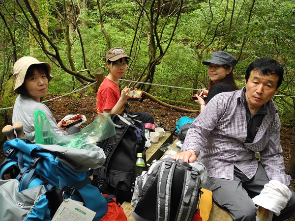 http://greenmessenger-yakushima.com/blog/DSCN4297.JPG