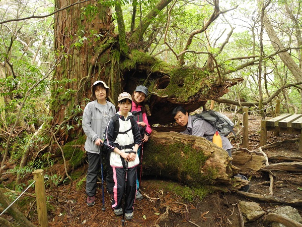 http://greenmessenger-yakushima.com/blog/DSCN4299.JPG