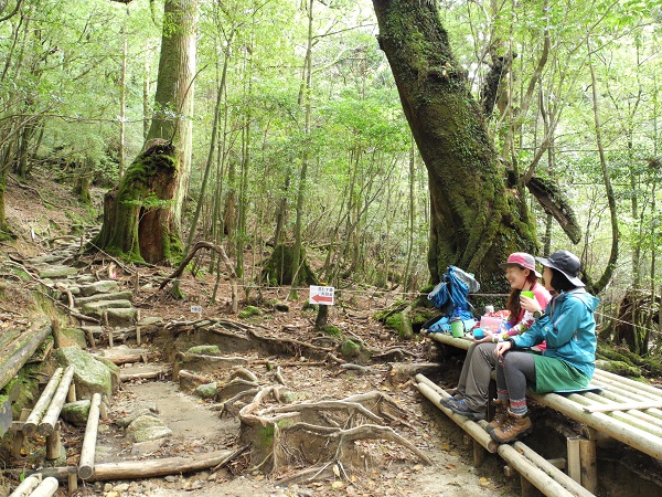 http://greenmessenger-yakushima.com/blog/DSCN4489.JPG