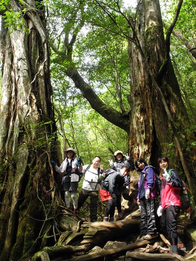 http://greenmessenger-yakushima.com/blog/DSCN4505.JPG