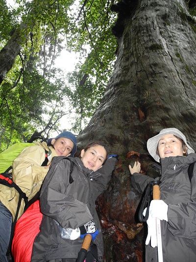 http://greenmessenger-yakushima.com/blog/DSCN4533.JPG