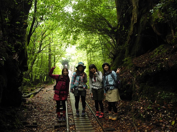 http://greenmessenger-yakushima.com/blog/DSCN4544.JPG