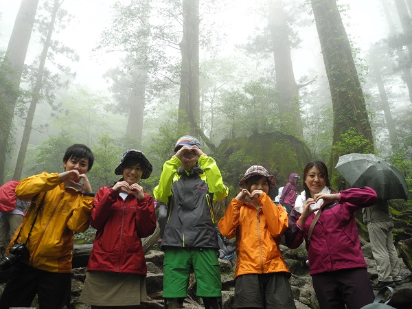 http://greenmessenger-yakushima.com/blog/DSCN4571.JPG