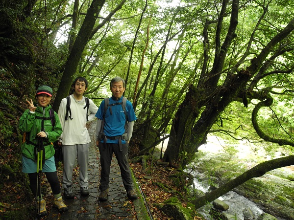 http://greenmessenger-yakushima.com/blog/DSCN4590.JPG