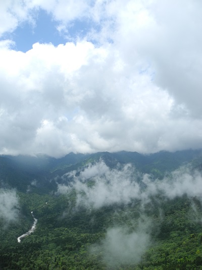 http://greenmessenger-yakushima.com/blog/DSCN4653.JPG