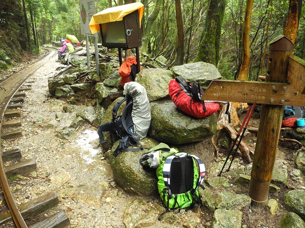 http://greenmessenger-yakushima.com/blog/DSCN4663.JPG