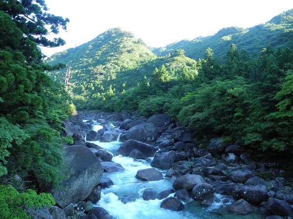 http://greenmessenger-yakushima.com/blog/DSCN4664.JPG